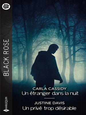 cover image of Un étranger dans la nuit--Un privé trop désirable